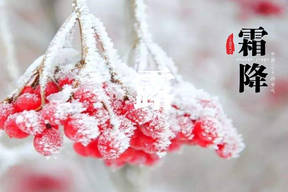 儿子回来了爸爸却走了