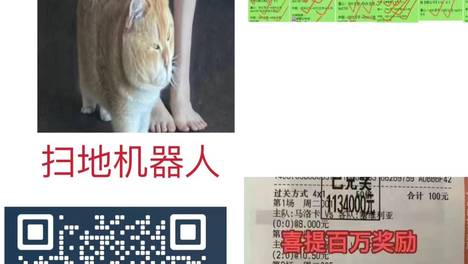 008 巴西VS厄瓜多尔
