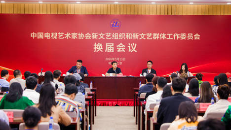 中国电视艺术家协会新文艺组织和新文艺群体工作委员会换届会议在北京举办