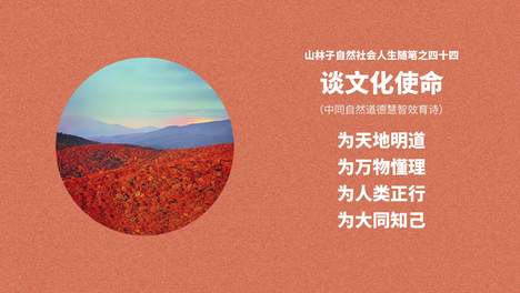 内容配图