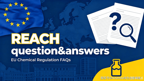 REACH丨140 - CLP附件六/七的危险品分类标准译文是否可以替换成完整的标准？