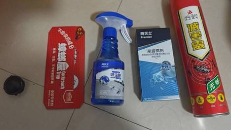 防治无效？西安一小区蟑螂泛滥、越杀越多！专家：这是“楼宇病”