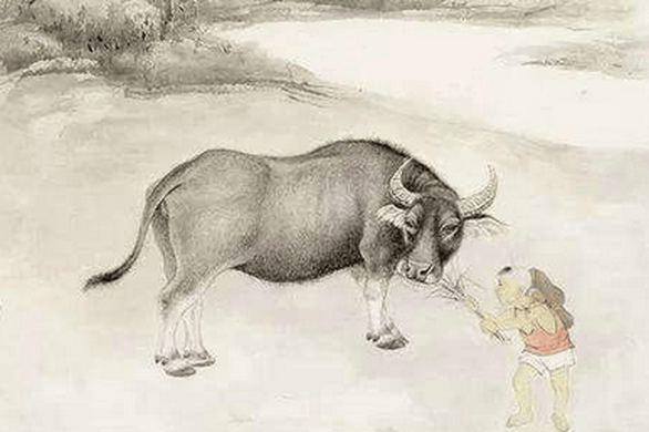 偶像剧不准用折叠伞