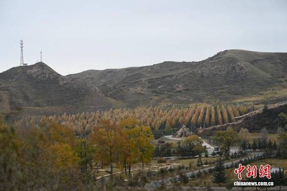 她一次性做了我一辈子的工作