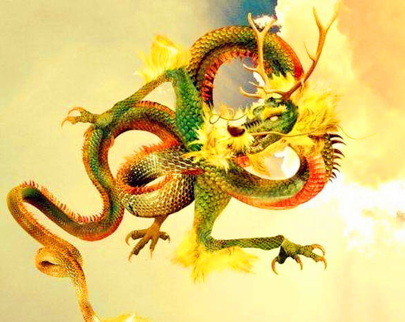 央视揭秘无菌蛋真相