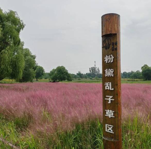 美方相应取消对华有关限制措施