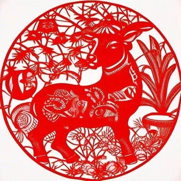 女子家门口遇害后母亲一夜白头