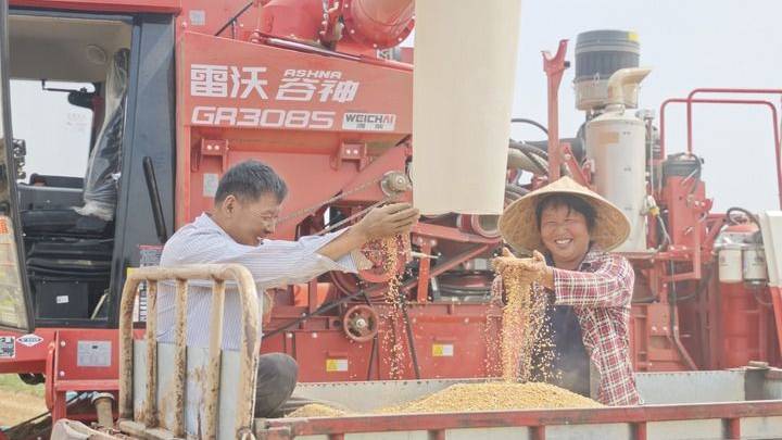 从田间到车间的丰收接力,能提高农业产值吗?