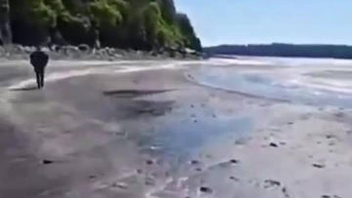 美国阿拉斯加地区连续地震,会触发海啸预警吗?