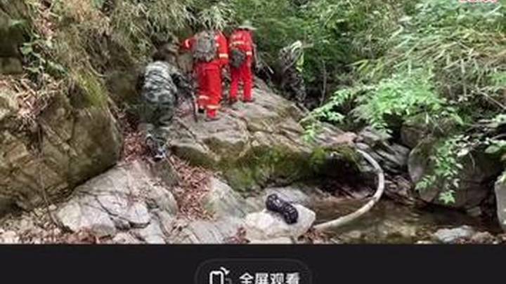 网友拍到秦岭山里有动物被热死,你觉得是真的吗?