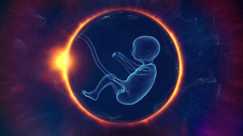 BIO LIFE | 全球首例！冻存 17 年的睾丸组织“复活”，回植人体后成功产生精子