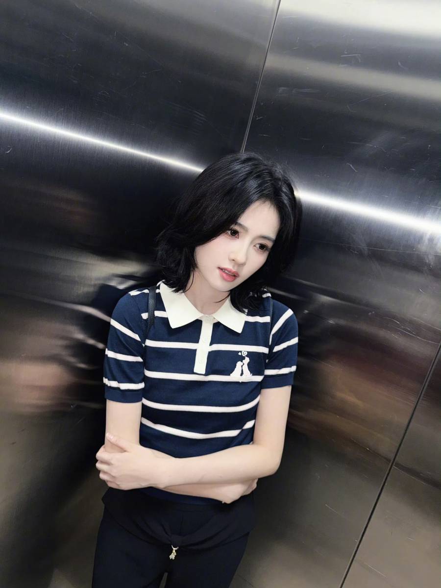白鹿分享八月日常plog 撸猫遛狗松弛又治愈