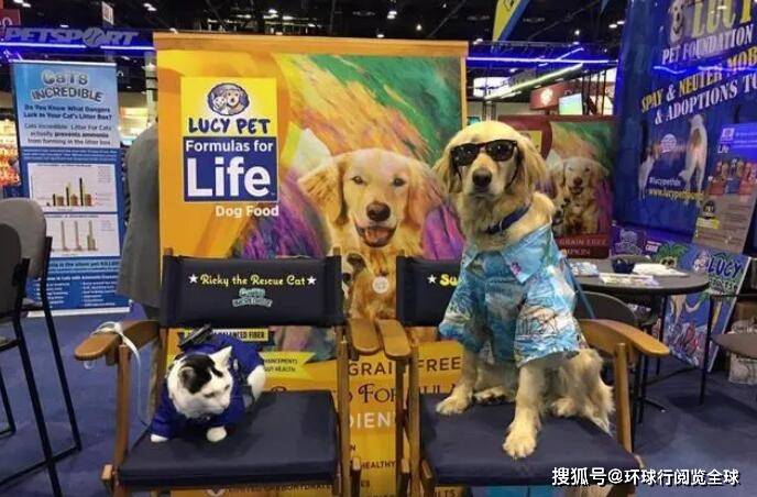 2025年美国国际宠物用品展览会Pet Expo不可错过(图2)