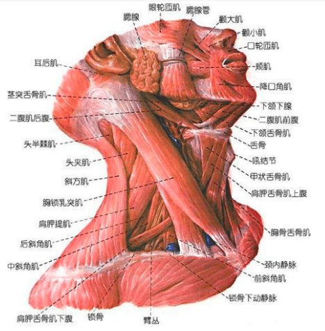 颈椎病如何治疗效果最好，吃什么药可以缓解不适感