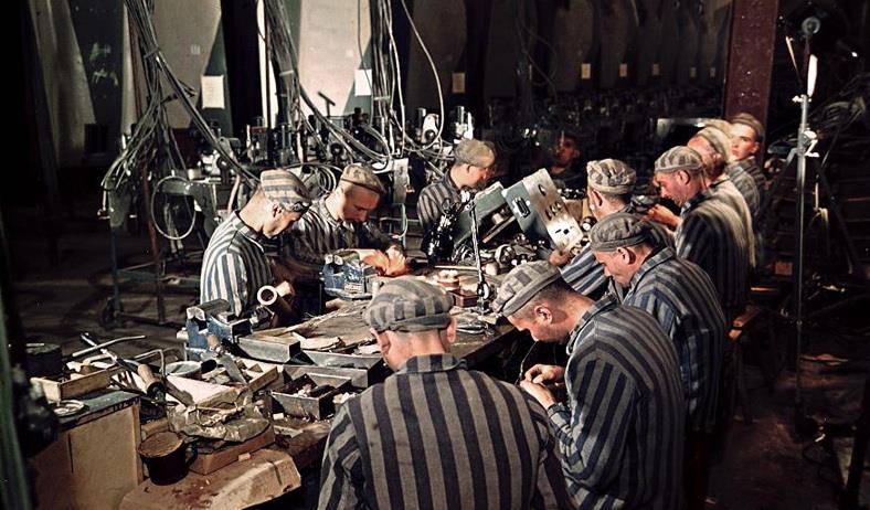 纳粹实验室 来自搜狐网