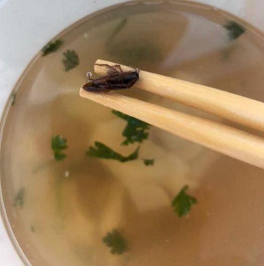 吃到蟑螂怎么举报商家？