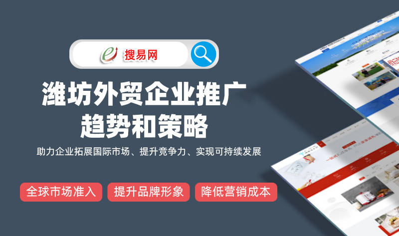 精准定位与个性化推广策略在潍坊外贸企业网站推广中的应用