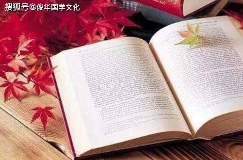 戌狗，官星旺学业方面