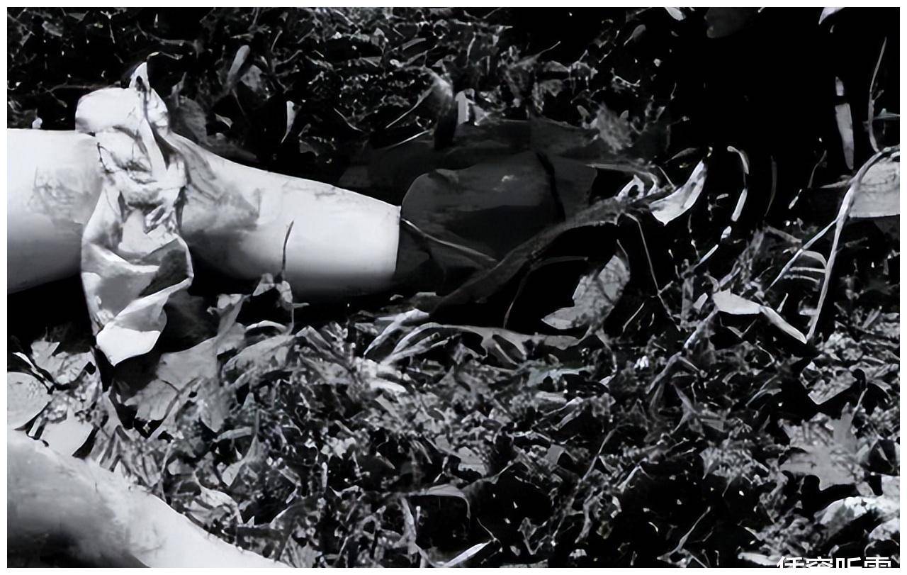 女子尸体被灌满可乐，奸淫魔头10年奸杀11人，18岁男孩莫名顶罪