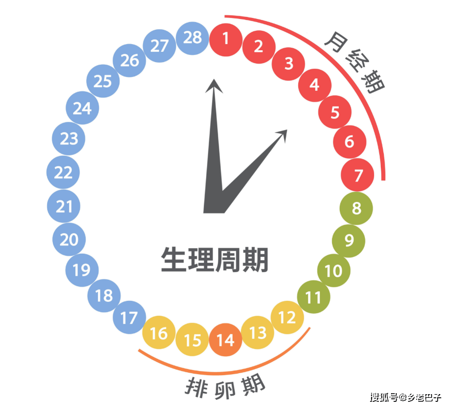 常用测排卵期最准确的定方法