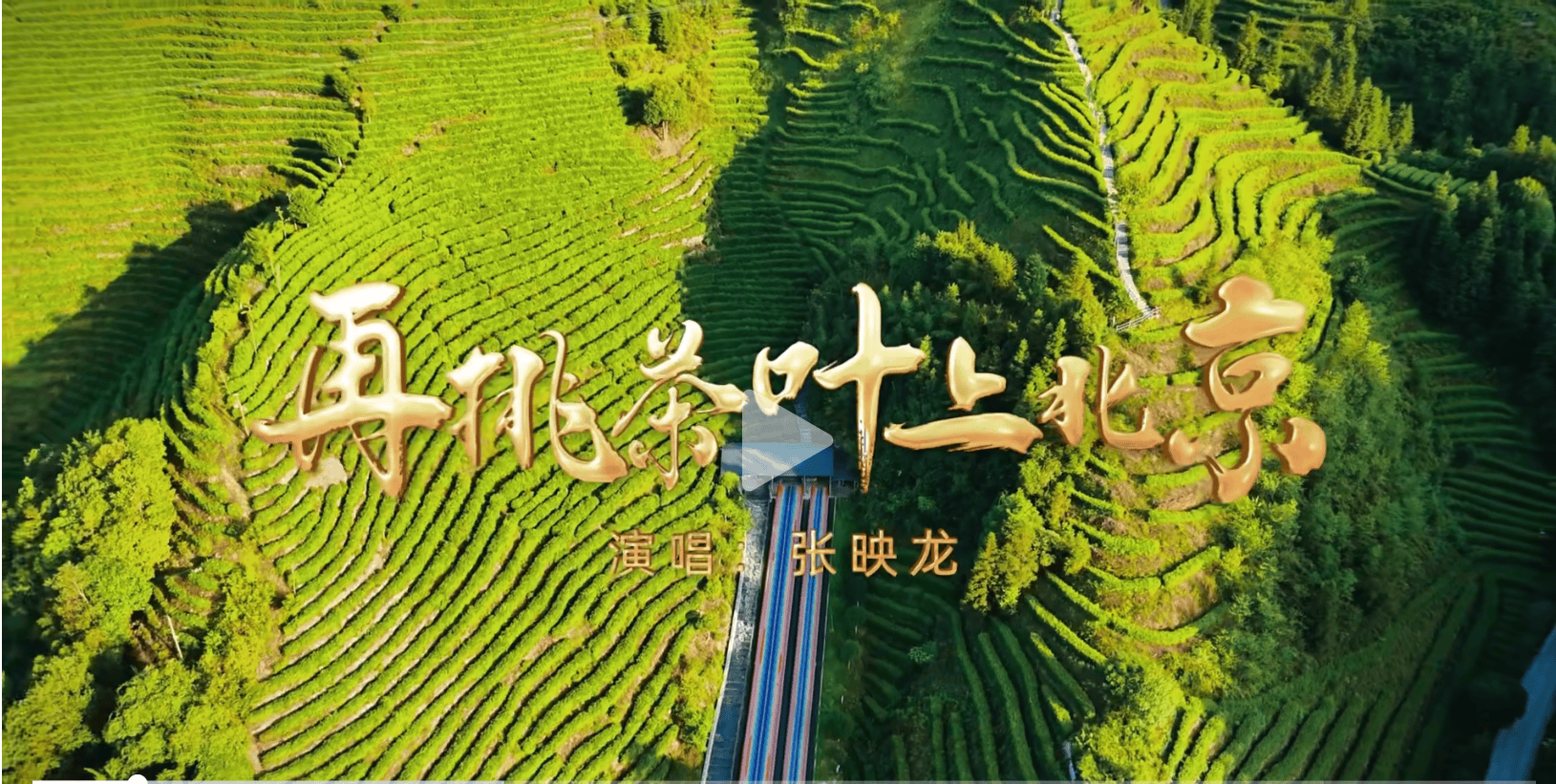 2024年邵阳茶业十大欧博体育网址事件(图20)