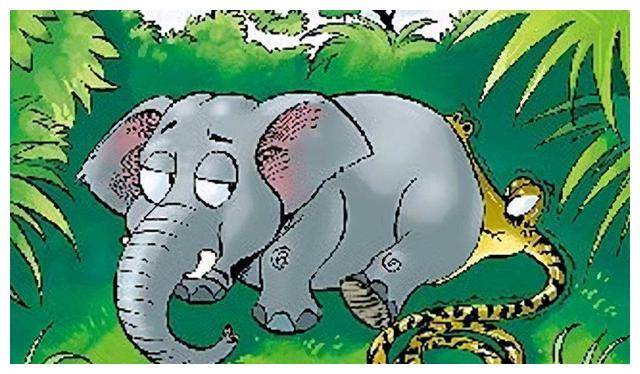 梦境解析,梦见死人狗吞噬龙象的深层含义 梦境解析,梦见死人狗吞噬龙象的深层含义