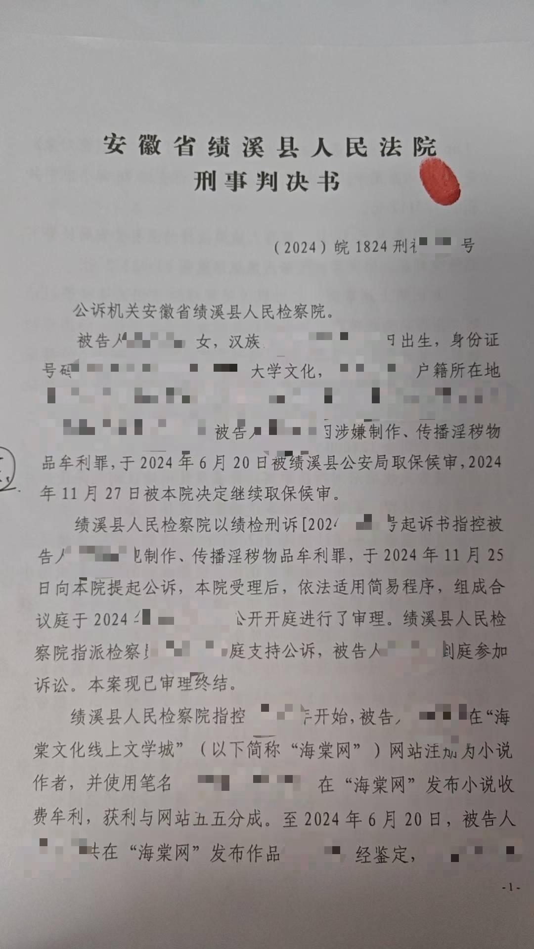 女孩因小說“涉黃”被捕，失業(yè)負債累累