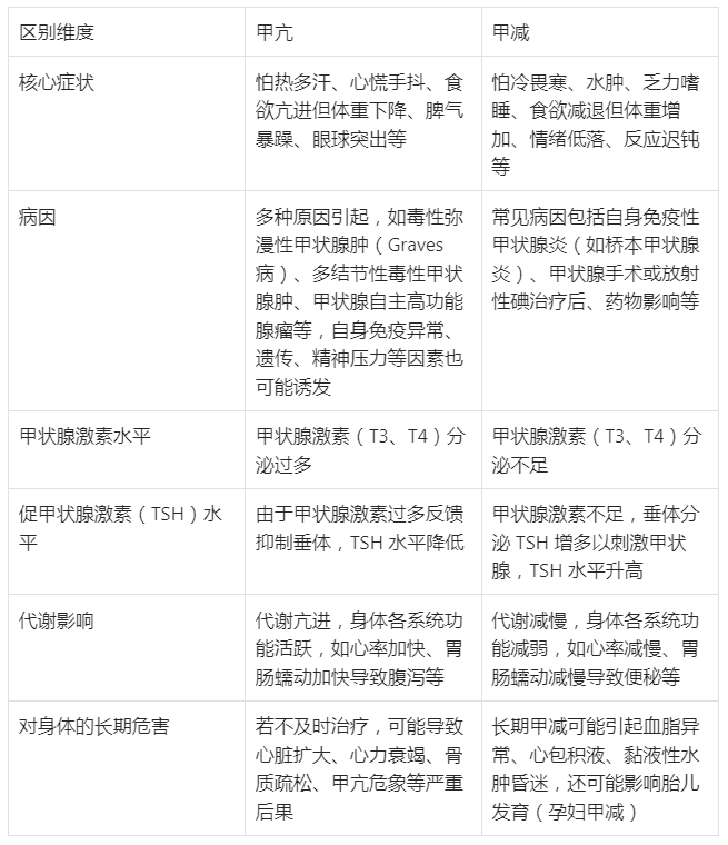 甲亢 vs 甲减：怕热多汗 vs 怕冷水肿？一张表看懂甲状腺 "过度" 与 "不足" 的 6 大区别
