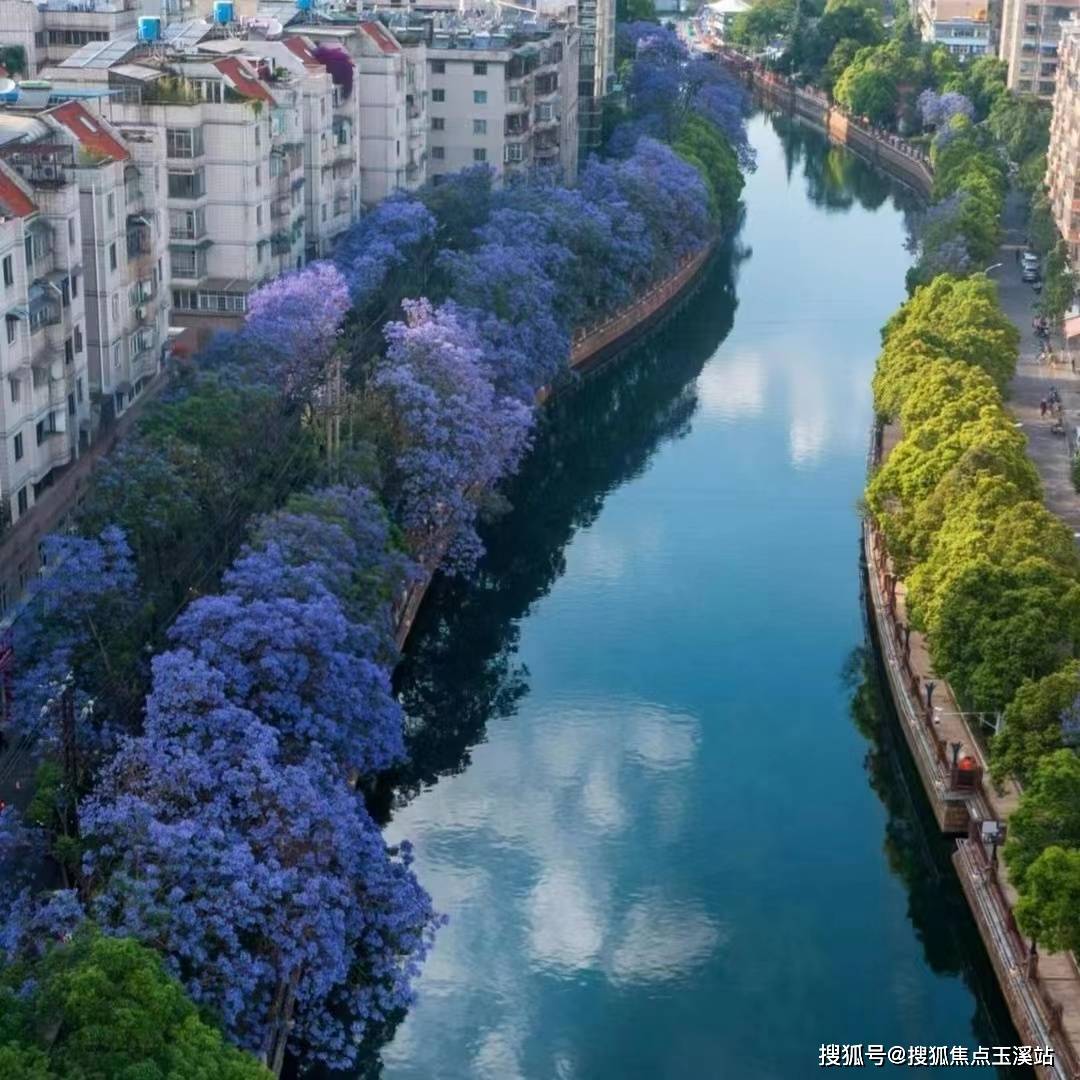 文章配图-10