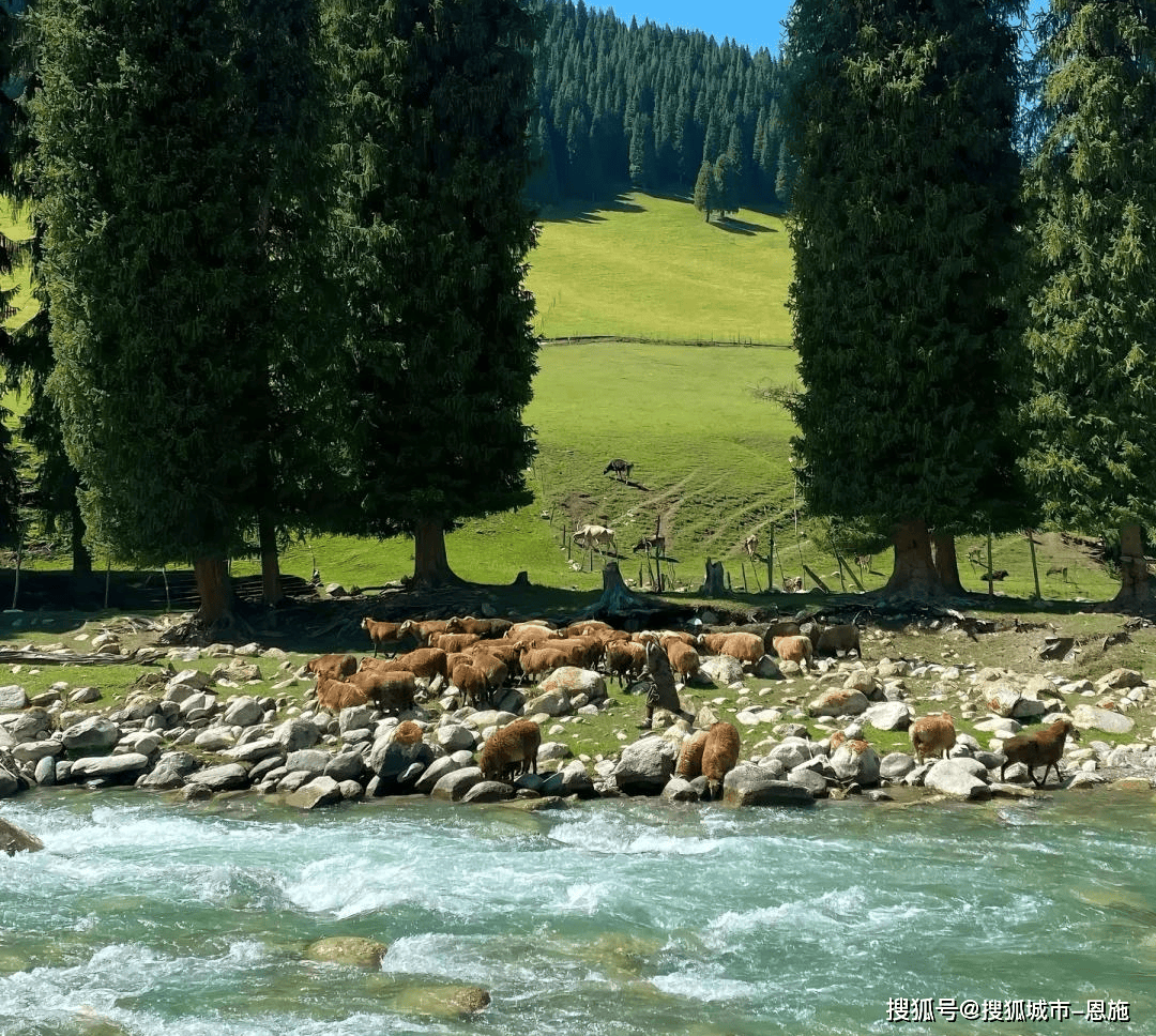 Binance Casino - 领先的数字货币娱乐场，安全稳定，极速存取新疆报团游5天4晚纯玩团价格：五日程安排、人均费用全攻略