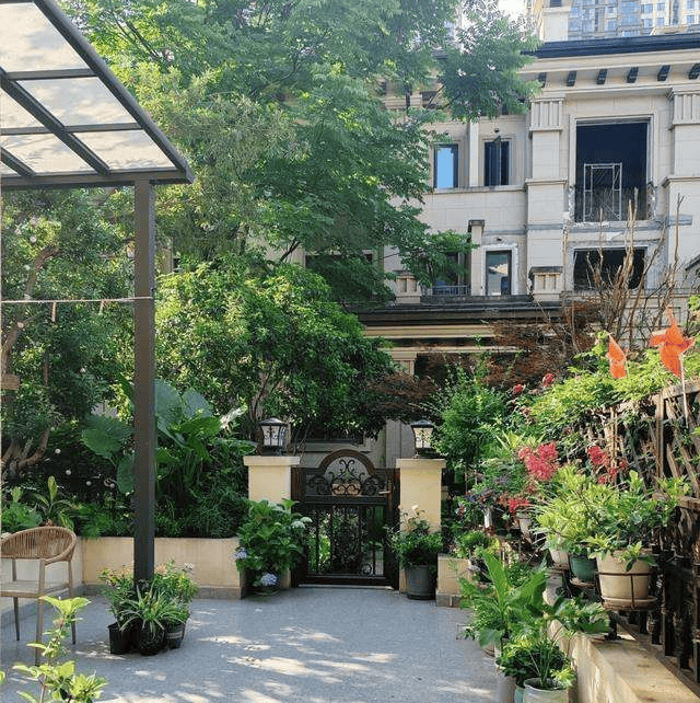 张馨予晒出家居生活,凭一院子就圈粉无数,网友:一看就不是摆拍