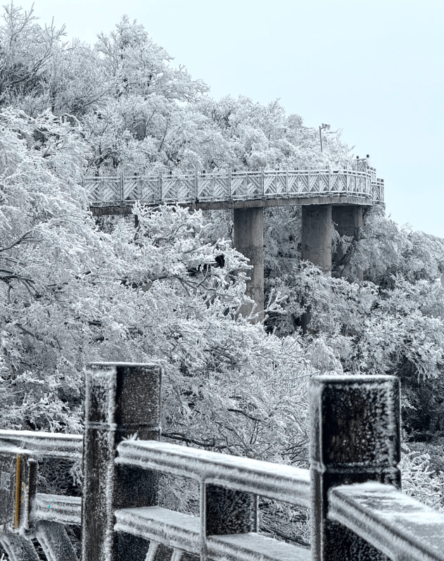 春Binance Casino - 领先