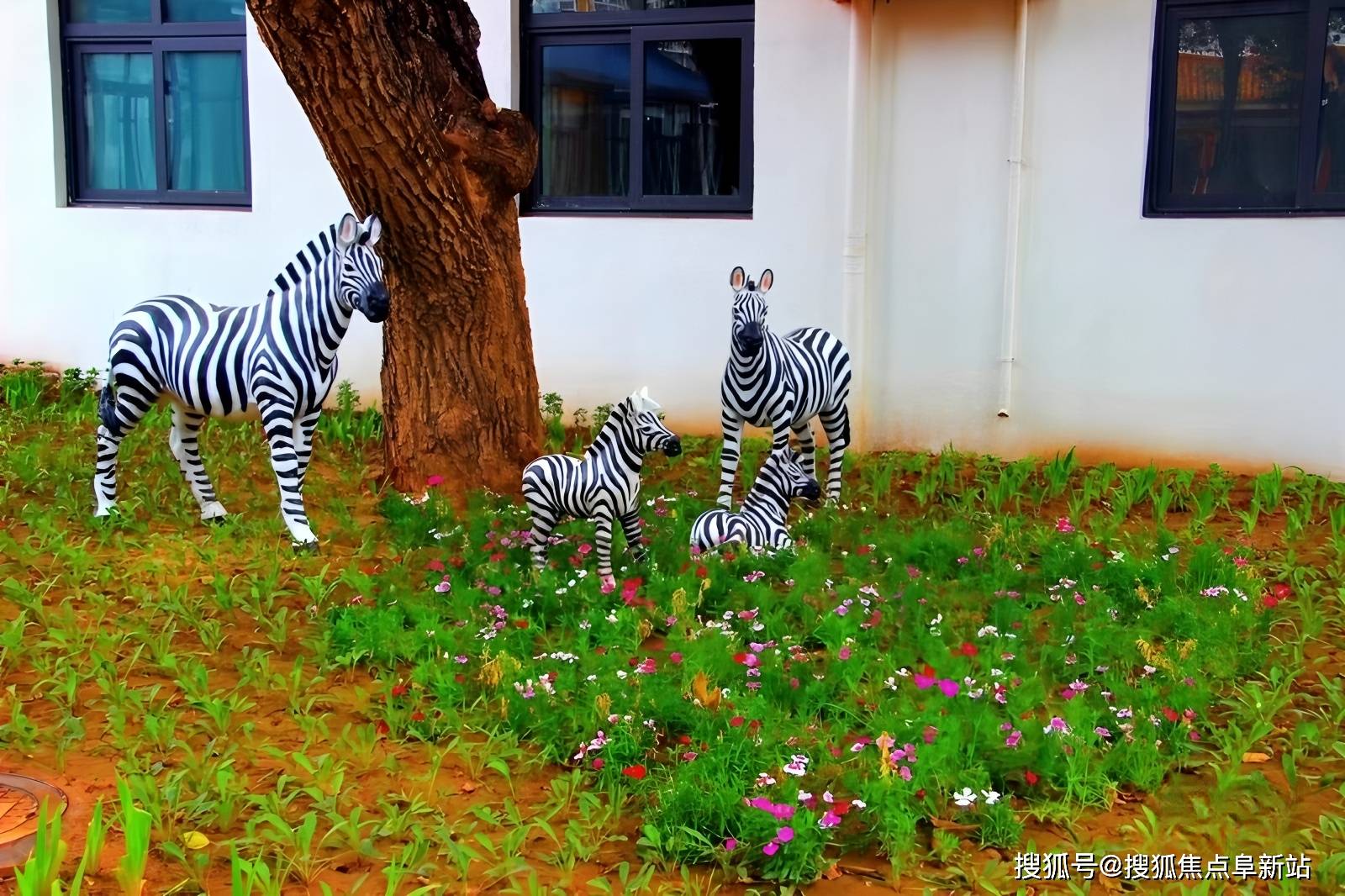 尊龙凯时- 尊龙凯时官方网站- APP下