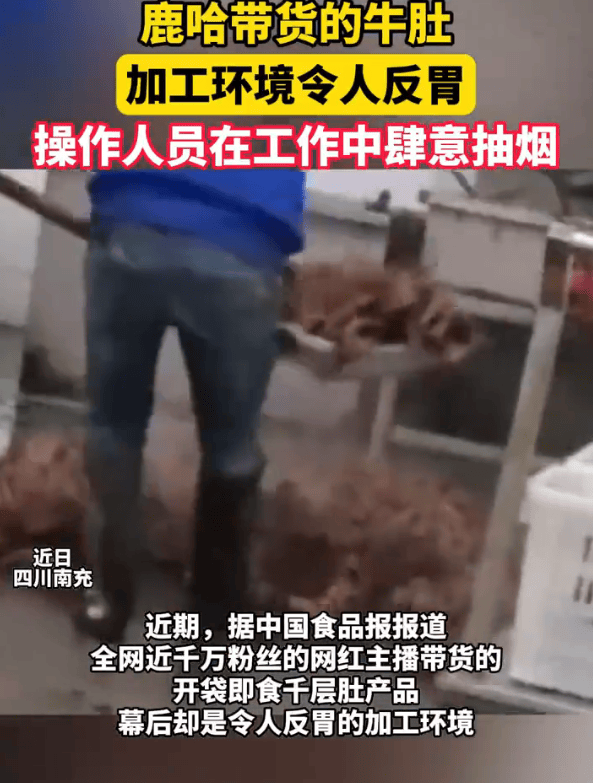 官方通报鹿哈带货牛肚加工环境问题!鹿哈或需赔偿消费者26.9亿元