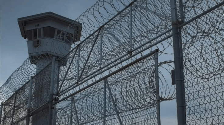 欧洲人权组织：以军训练狗强奸巴勒斯坦人