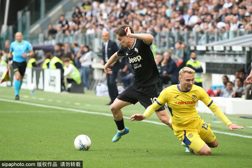 78936999.jpg