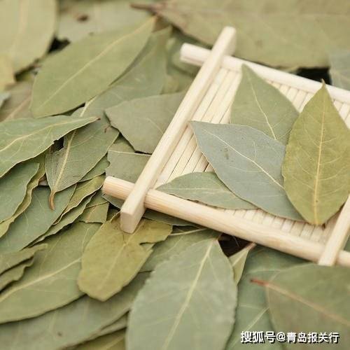 进口调味料情况，以香叶为例