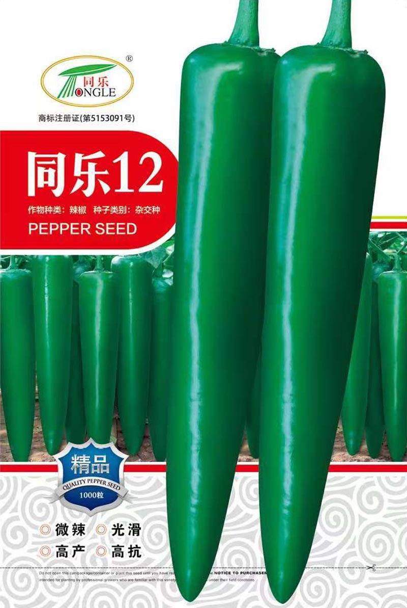 同乐12青皮绿皮尖椒辣椒种子
