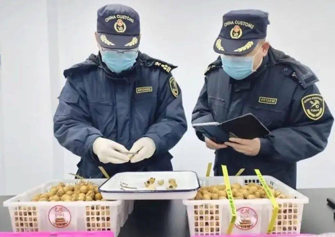 27吨泰国龙眼到港湖南首次通完美电竞过水运进口水果