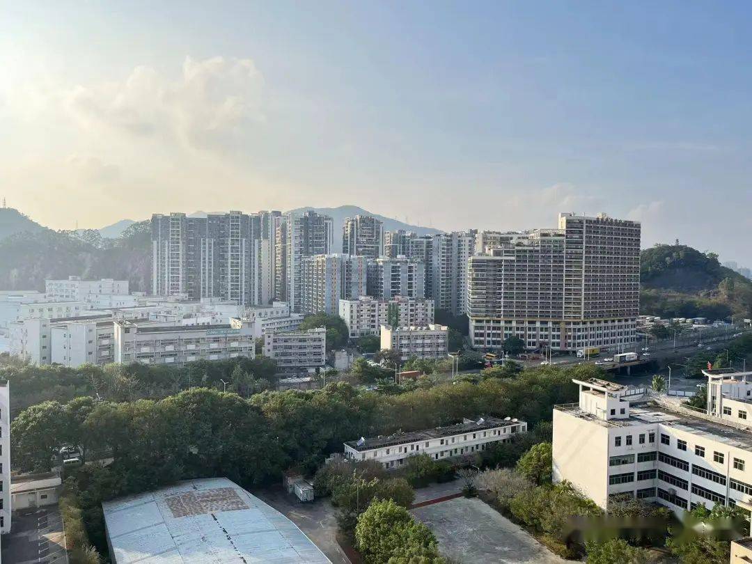 美团：最准一肖一码100%最准-上海前五月房地产开发投资同比增长8%，“沪九条”后二手房单日成交创新高