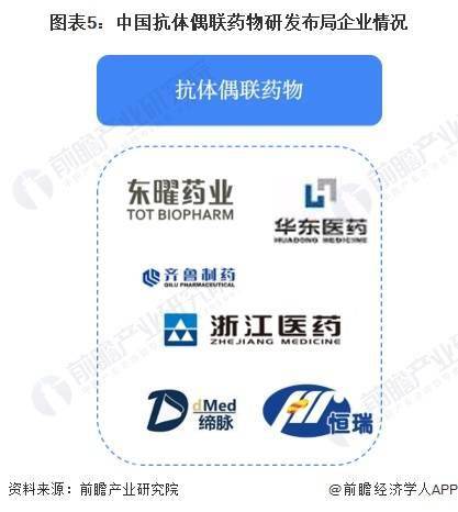 2024年抗肿瘤药物新药——抗体偶联药物市场分析：市场发展潜力大 药企加快布局