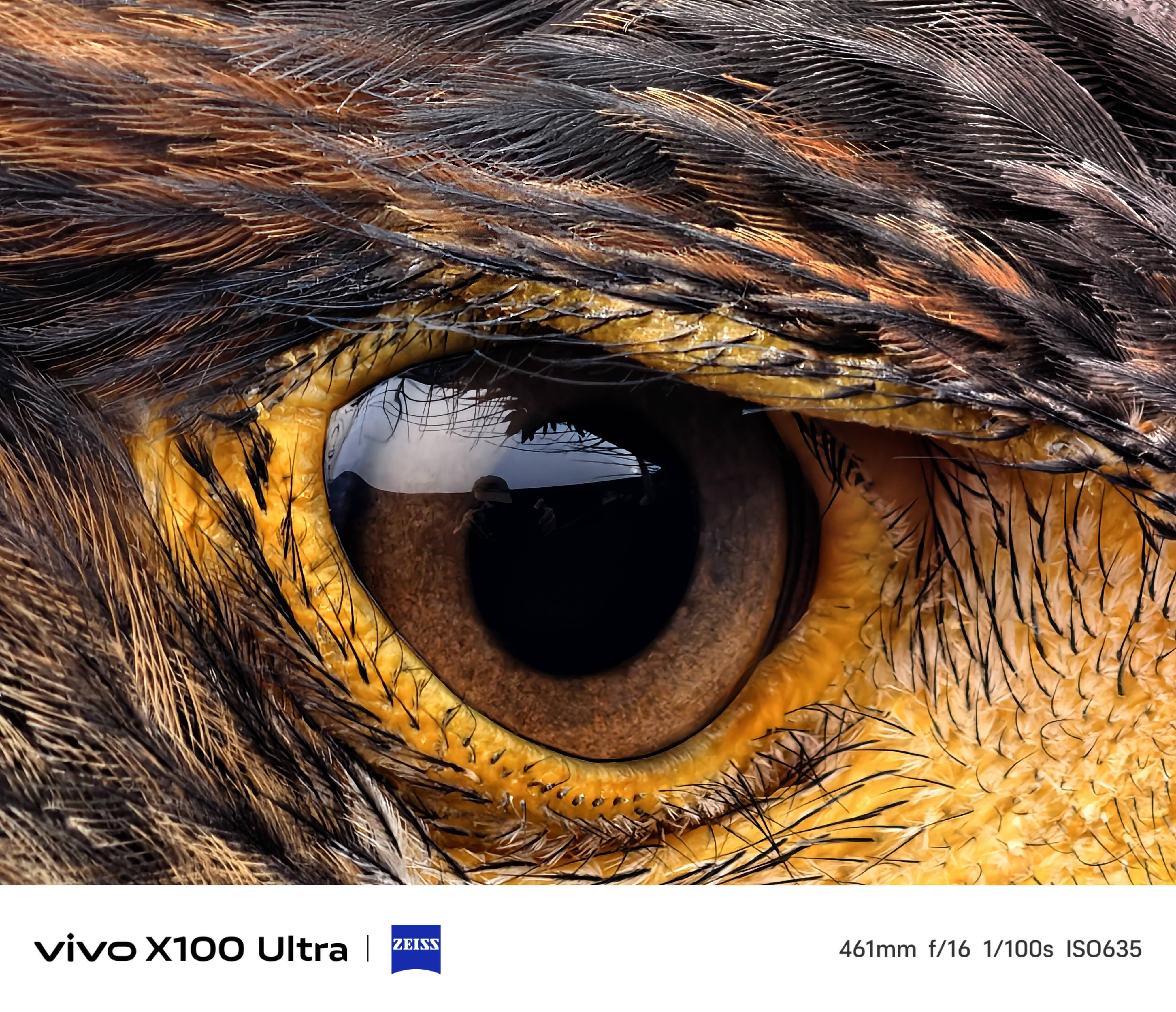 2 亿像素蔡司 APO 超级长焦，vivo X100 Ultra 手机更多样张公布