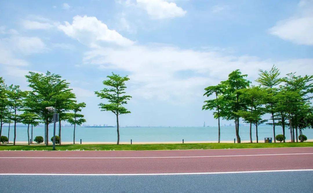 中国“最美滨海国道”就在厦门？一路美景，太惊艳！
