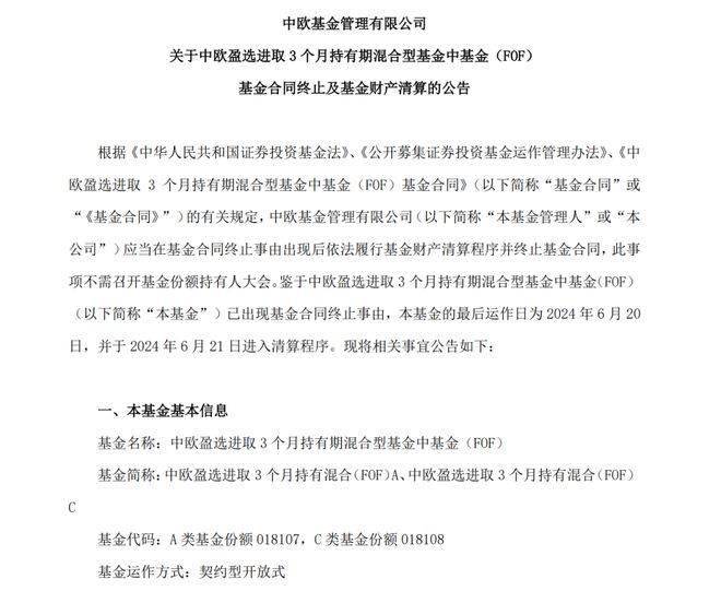 成立不到一年，又有公募FOF遭遇滑铁卢