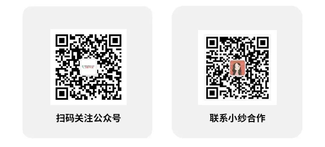 文章配图-6
