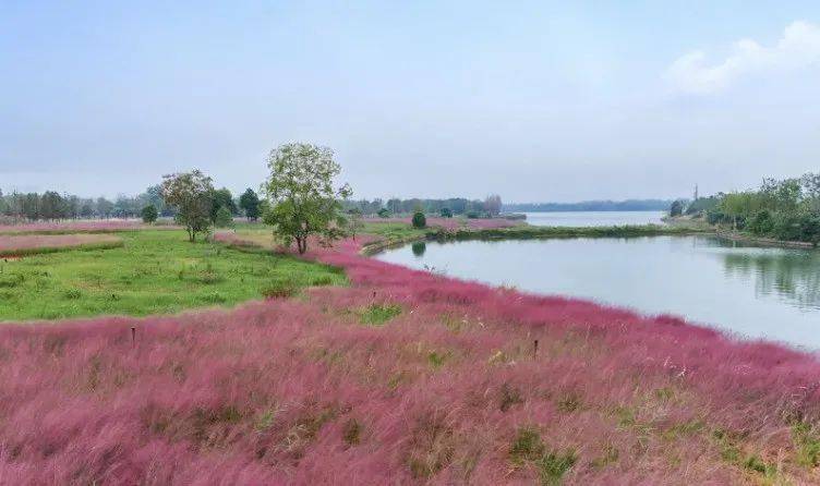 打卡湖南秋日限定美景,去这几个地方就够了 打卡湖南秋日限定美景,去这几个地方就够了