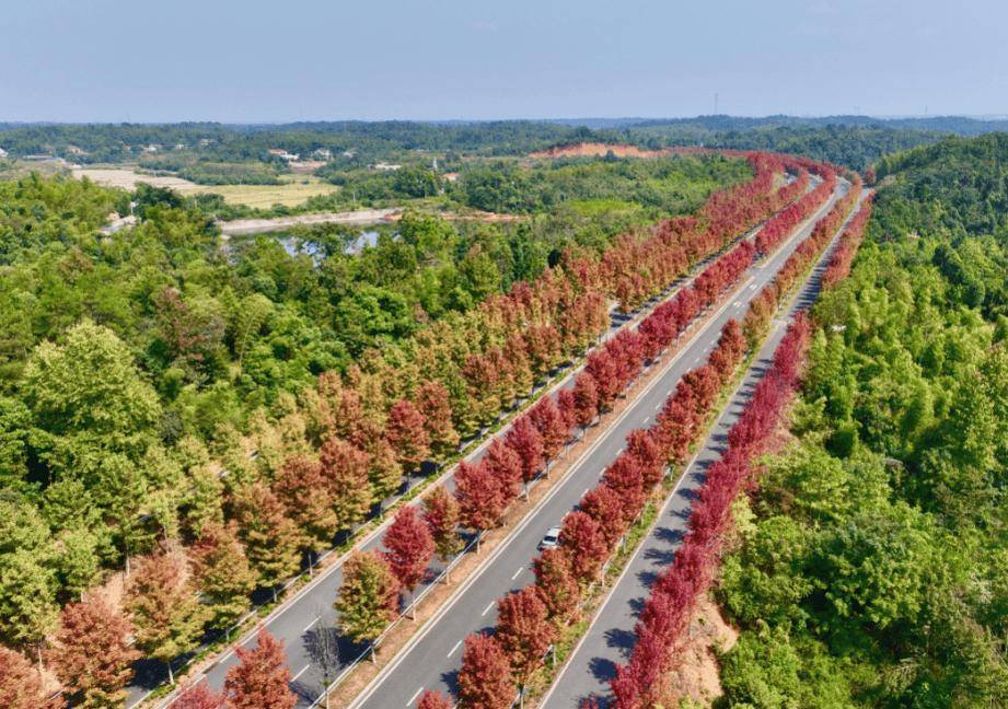 打卡湖南秋日限定美景,去这几个地方就够了 打卡湖南秋日限定美景,去这几个地方就够了