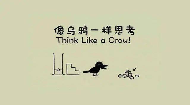一竞技网址涨知识九部宝藏科普纪录片小学生必看(图7)