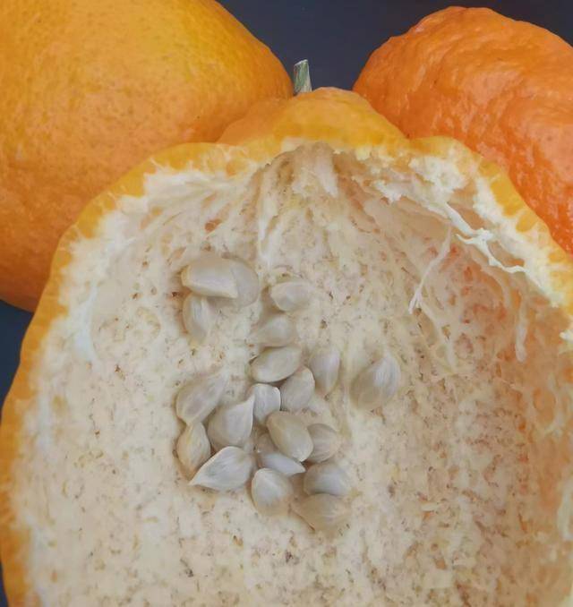 开云体育app吃完的“水果核”别扔这样培育一下几天就能长成一个小盆栽(图1)