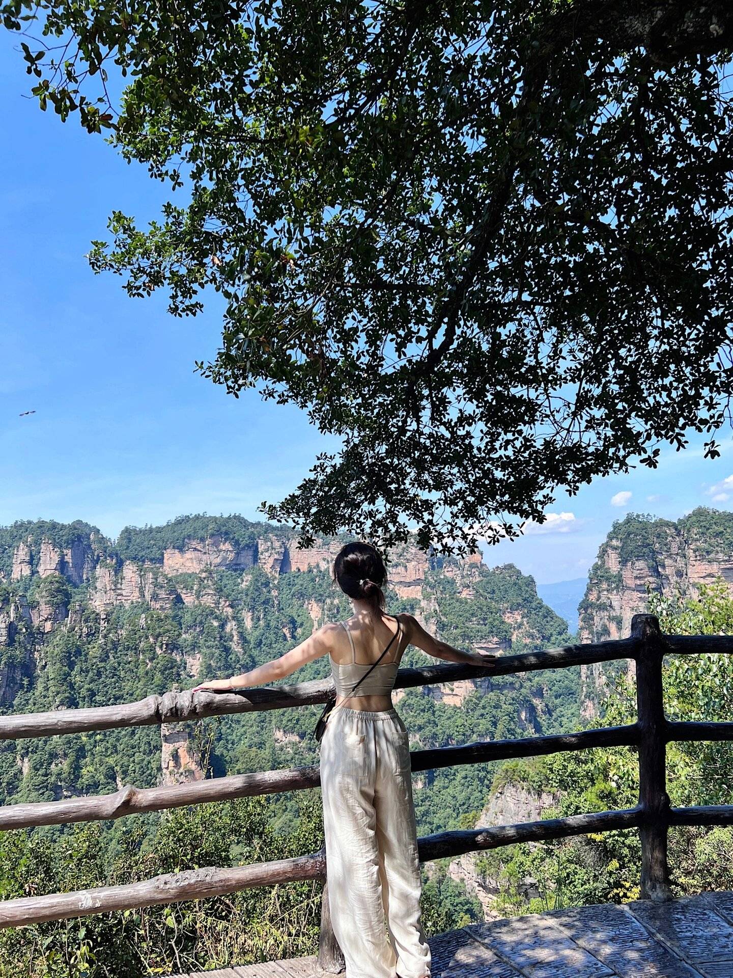 Binance Casino - 领先的数字货币娱乐场，安全稳定，极速存取吐血整理！张家界旅游3天自由行攻略畅玩不绕路！